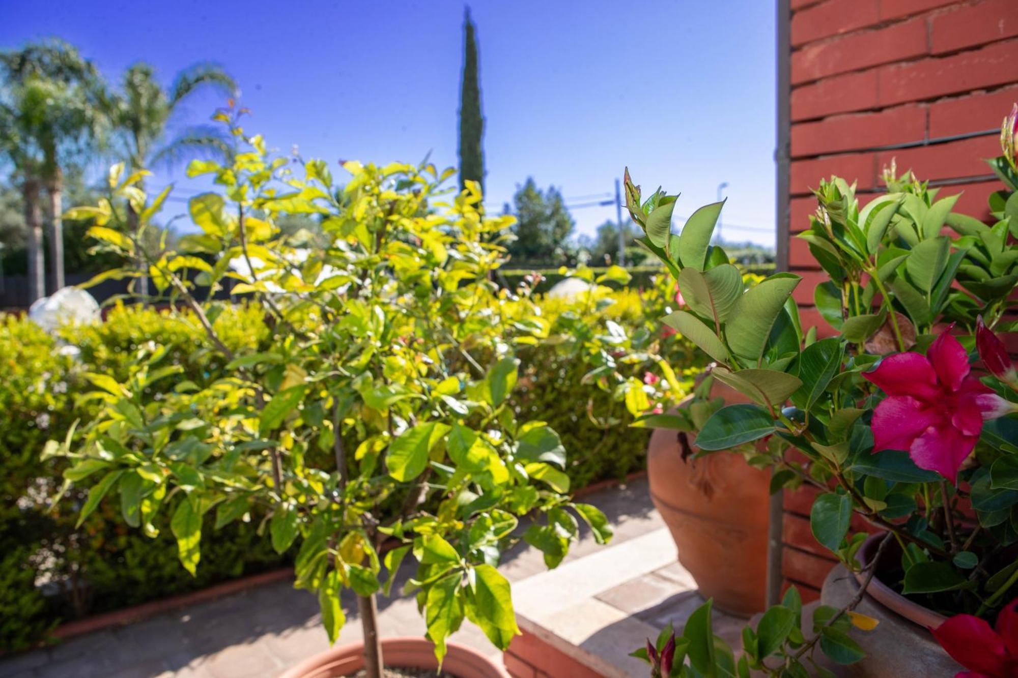Relais Villa Italia Selcetta Εξωτερικό φωτογραφία