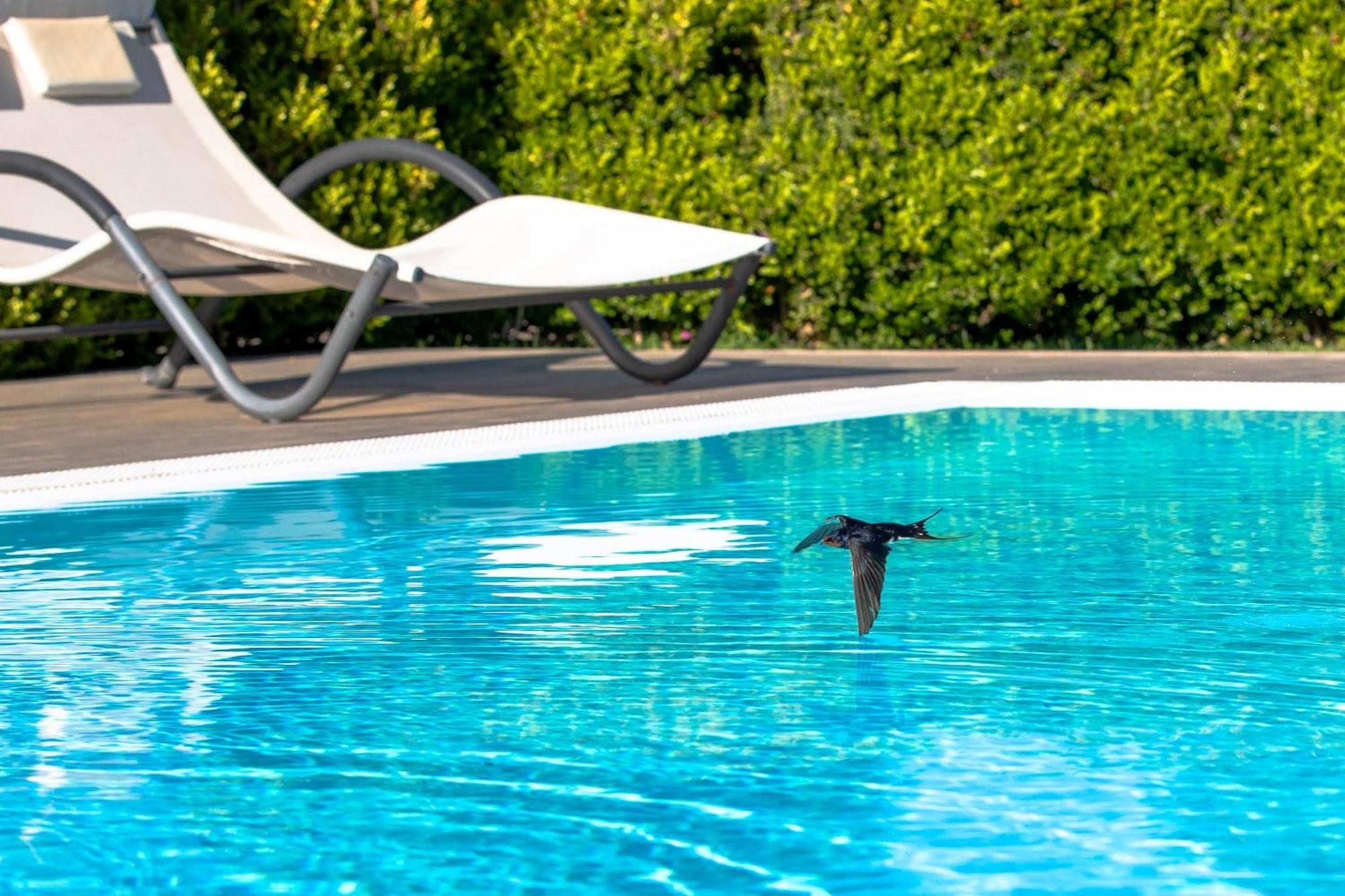 Relais Villa Italia Selcetta Εξωτερικό φωτογραφία